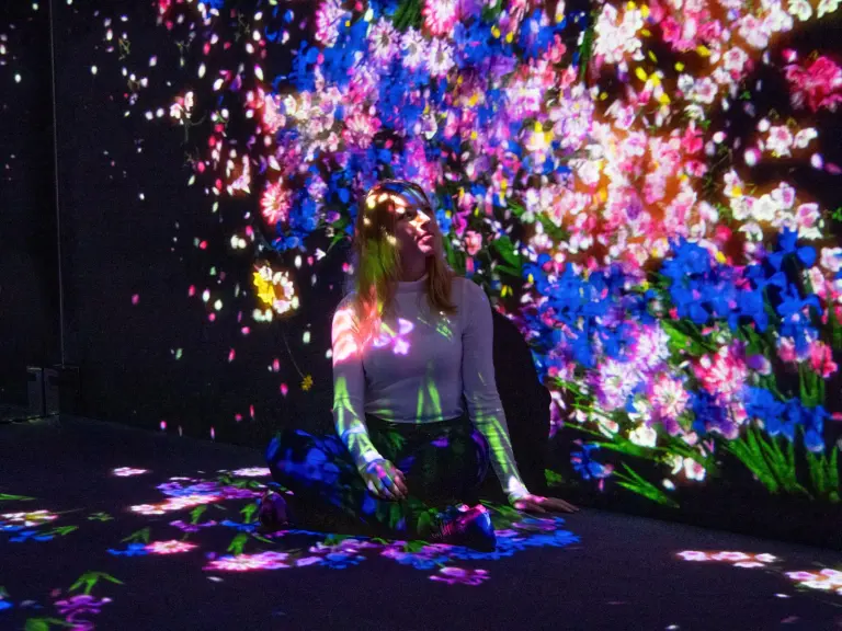 Das Digital Arts Museum in Tokyo ist ein unvergessliches Erlebnis!