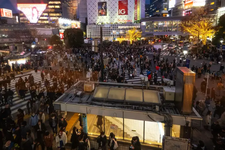 Ein Foto zur Bebilderung